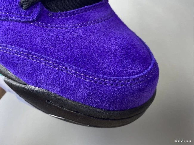 Alternate 5 Jordan Air Grape Retro 136027-500 0718